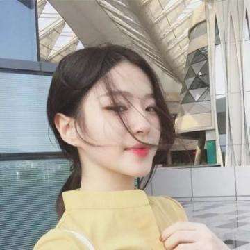 辐射避难所盛趣版本下载
